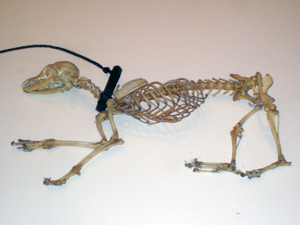 Gino De Dominicis Time, Mistake, Space (1970)