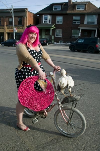 Morgan Mavis Toronto Taxidermy