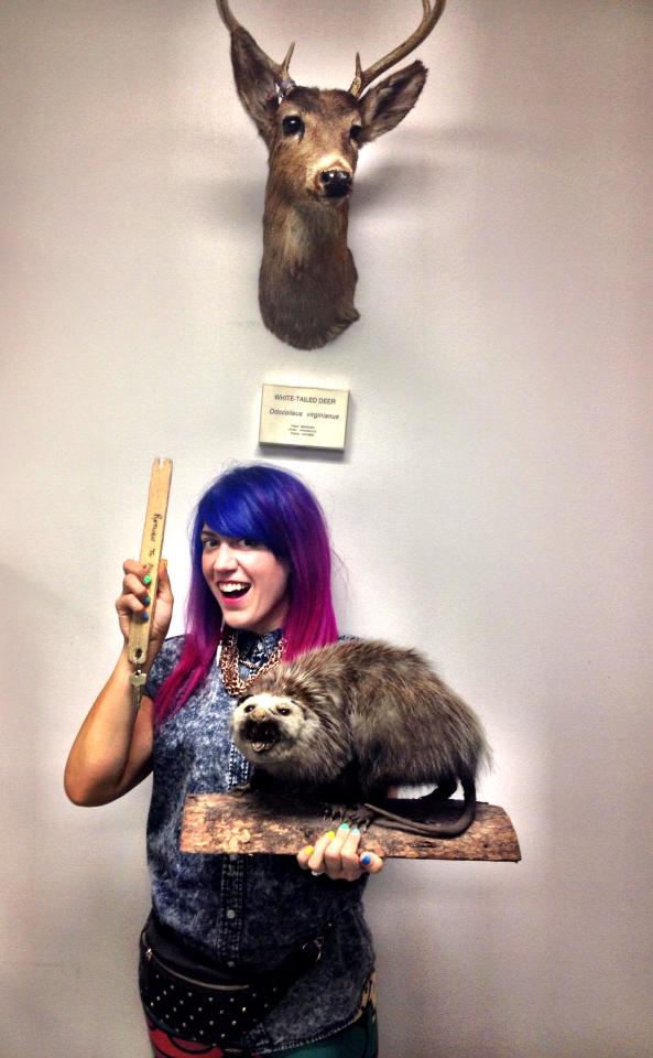 Morgan Mavis, Torotno Taxidermy, pink hair, Taxidermy, Bear